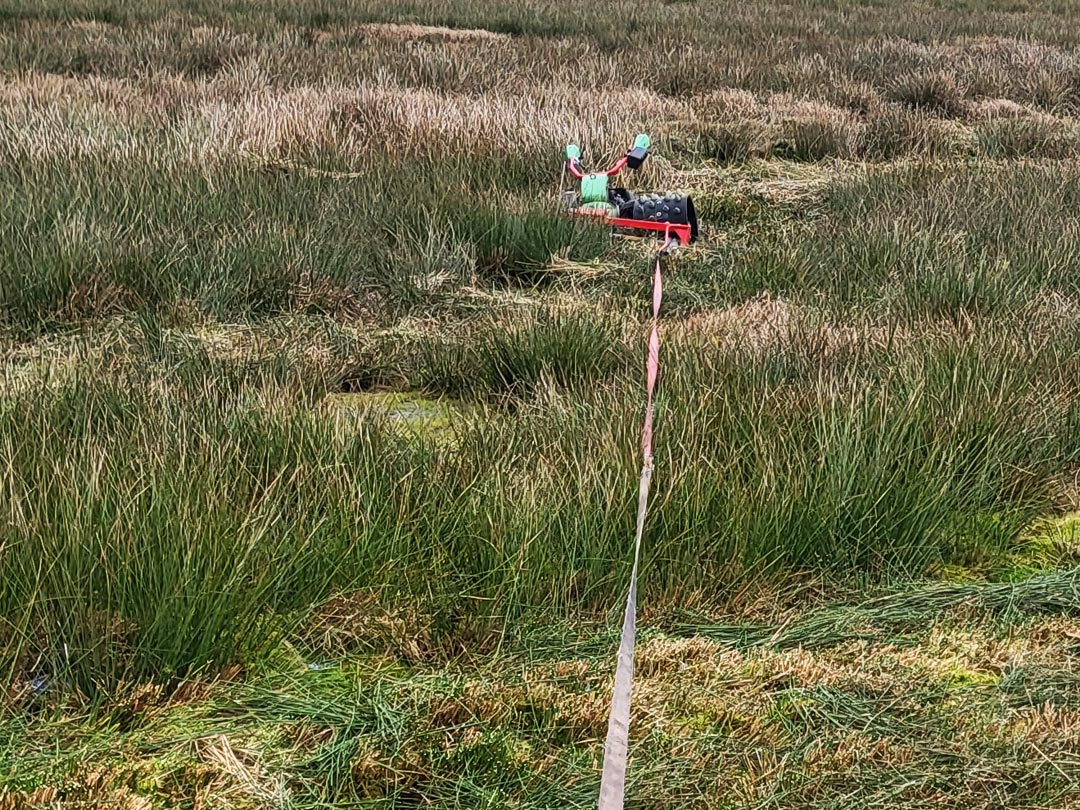 Probleme-beim-Binsenmähen