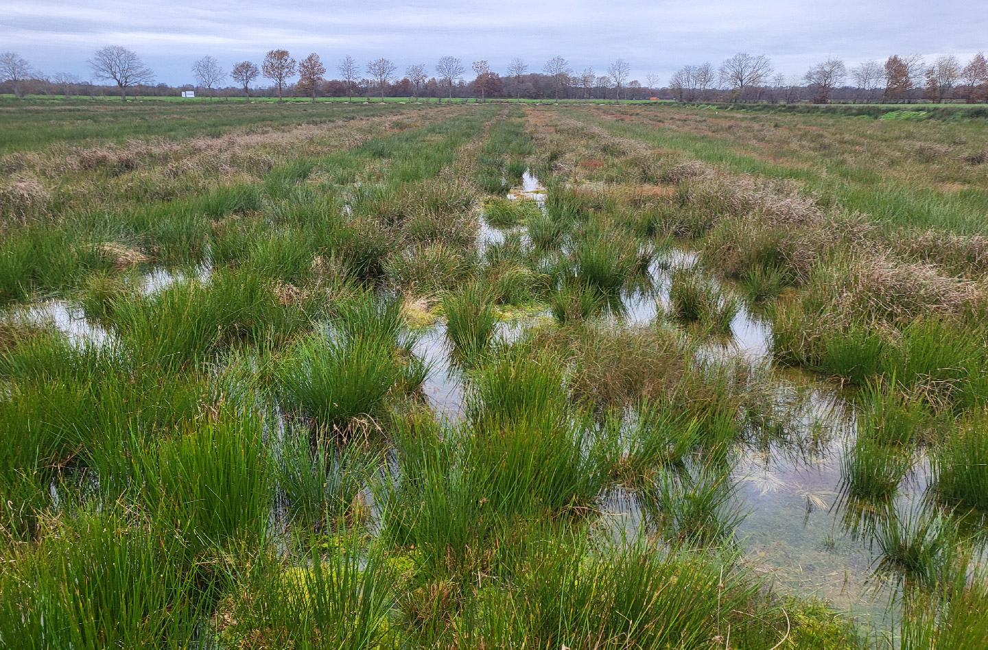 Nasser-Herbst-Moortagebuch-Block-Klimaprojekt