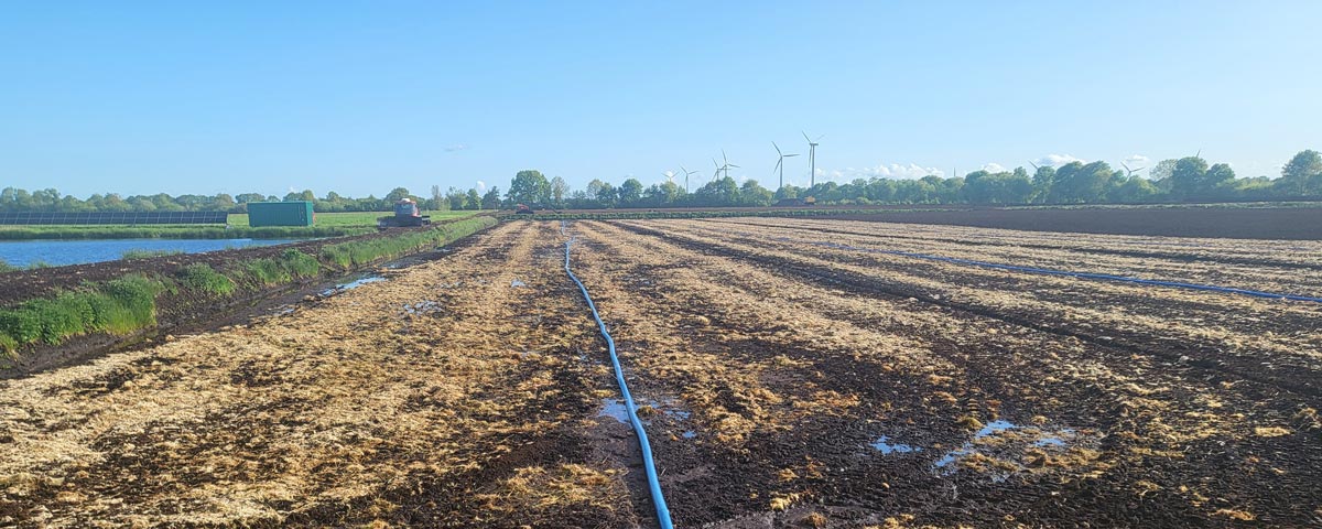 Block-Klimaprojekt-Torfmoos-Vogelwelt-Bewaesserung