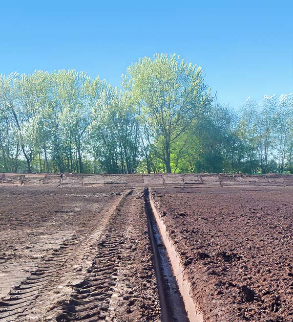 Block-Klimaprojekt-Torfmoos-Vogelwelt-Grüppen