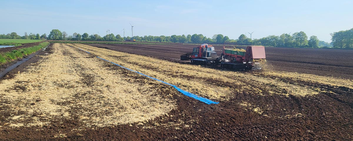 Block-Klimaprojekt-Torfmoos-Vogelwelt-Moosausbringen